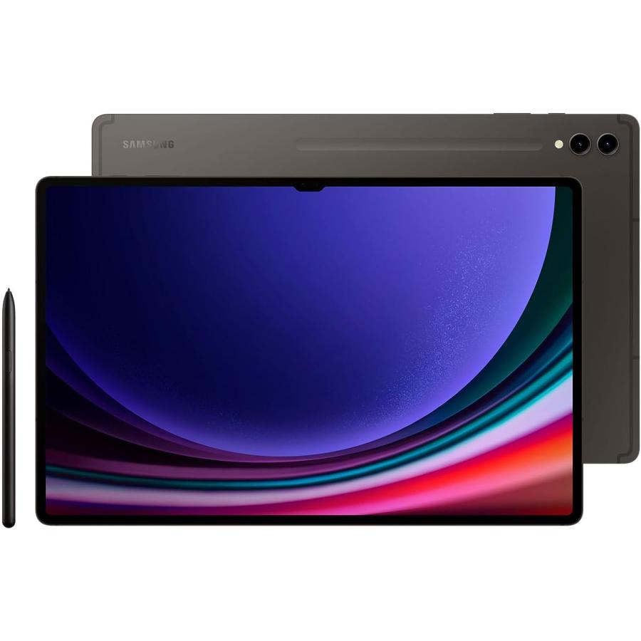 Galaxy Tab Samsung S9 X716 8GB RAM 128GB セルラーモデル グレー 11