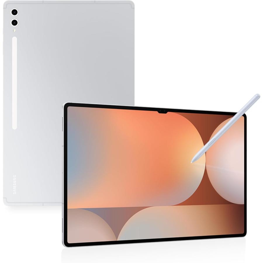 Galaxy Tab Samsung S10 Plus X820 12GB RAM 256GB wifiモデル