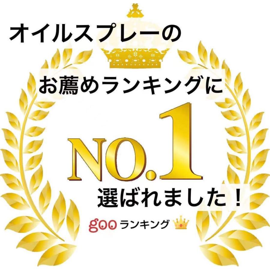 3本 ミスティフィ 新型オイルスプレー エアリーミストスプレー 調理用 マイクロミストスプレー 料理用 高機能スプレー 業務用 ノンフライヤー オイルポット 代用 | ブランド登録なし | 09