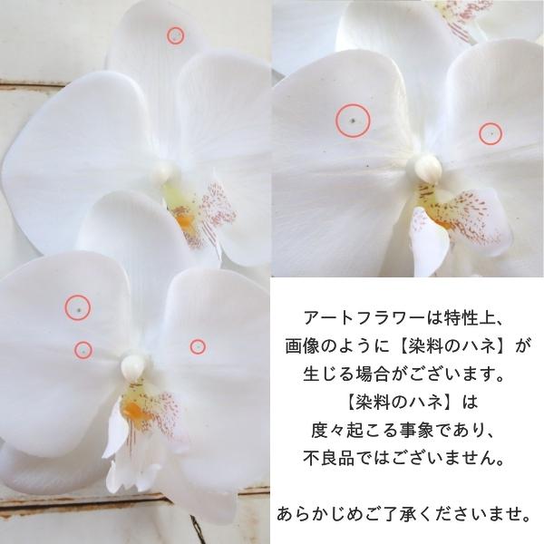 カサブランカブーケ・ブトニア ホワイト 胡蝶蘭 キャスケード カサブランカブーケ・ブトニア ホワイト 胡蝶蘭 キャスケード