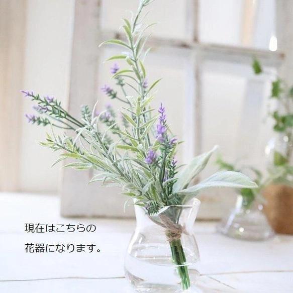 ラベンダー ローズマリー ハーブミックス ラベンダー ローズマリー ミント こぼれない魔法の水