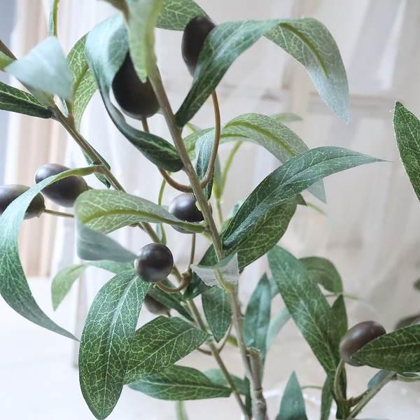 オリーブ Olive 魔法の水 マジカルウォーター 母の日 インテリア