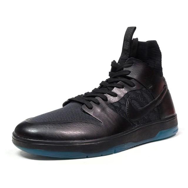 zoom dunk high elite