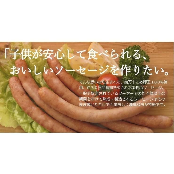 冷凍】四万十こめ豚王 極ソーセージ 4本入 高知 お土産 特産品 贈り物