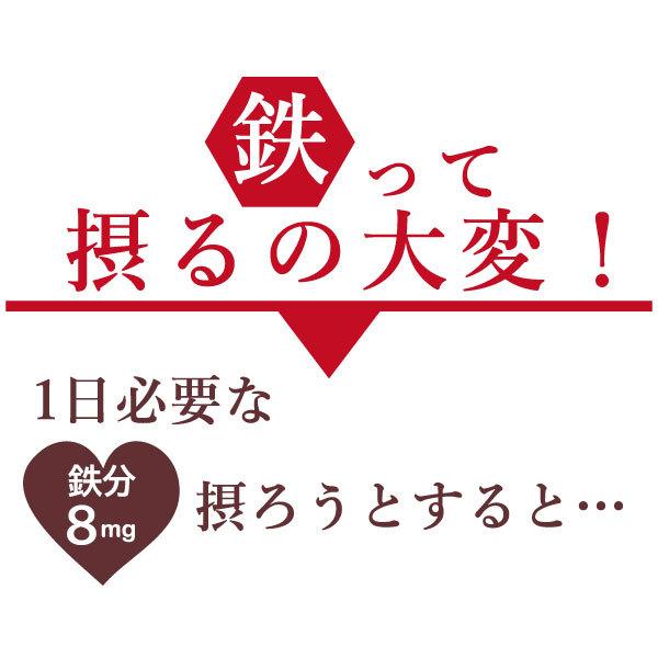 あんパン 楽天市場】遠藤製餡 パンの主役 北海小倉45-MS 660g 餡子 あんこ