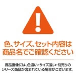 MITASTRUSCO PPペール丸型 本体90L ブルー TPPM-90-B 1個（フタ別売）toの画像