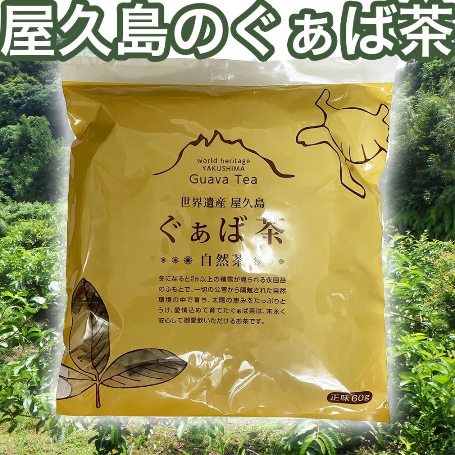 屋久島産ぐぁば茶 60g（グァバ茶100％） 日本製 屋久島産 グアバ