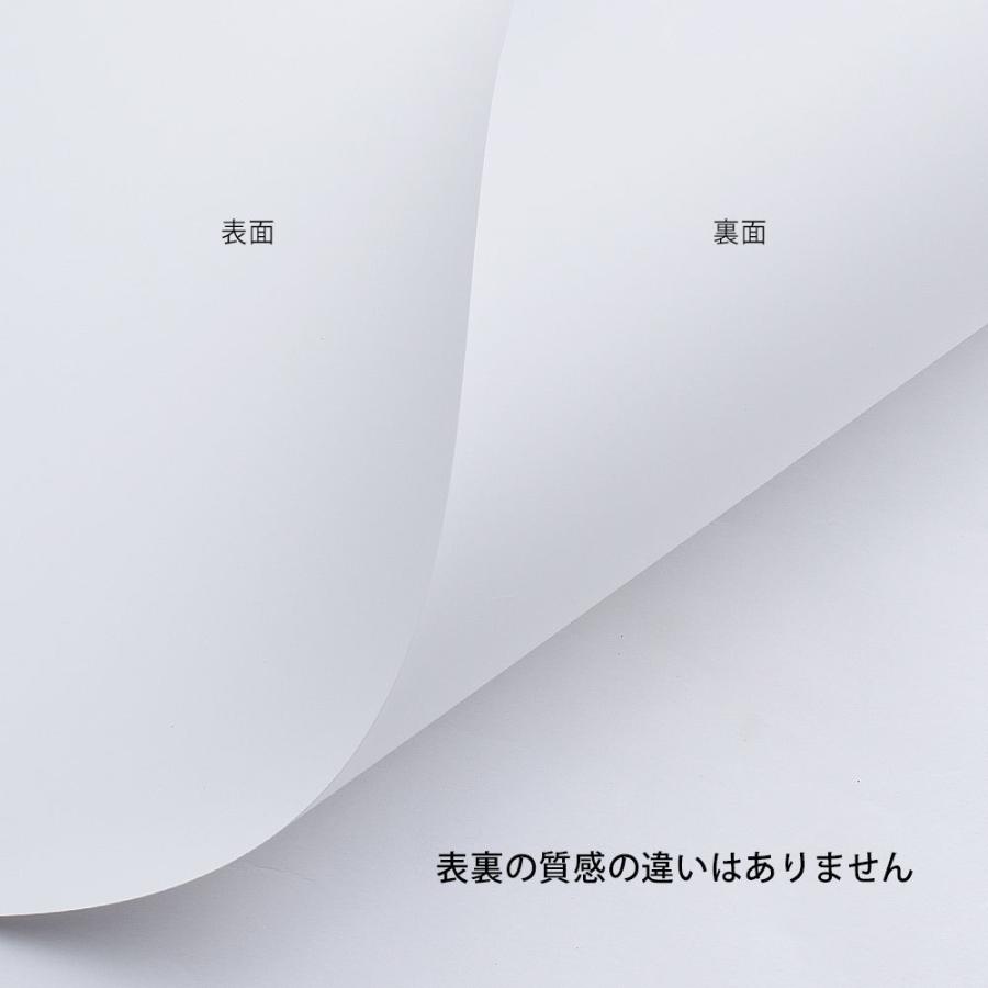 レーザーピーチ 耐水紙 WETY-145 A4 (100) 100枚_1