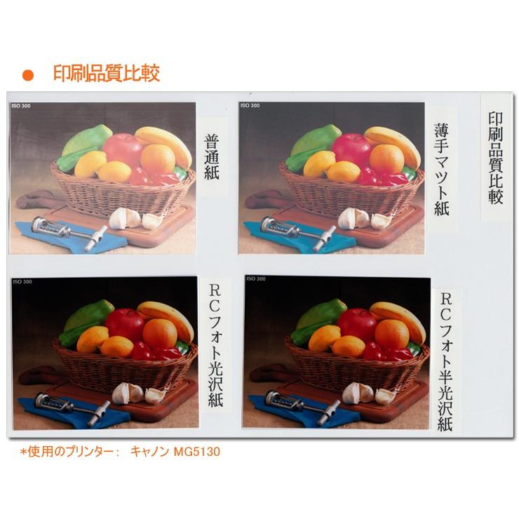 しゃち【光沢紙への変更】 インクジェットプリンター用紙［光沢紙（キャスト紙）］｜写真