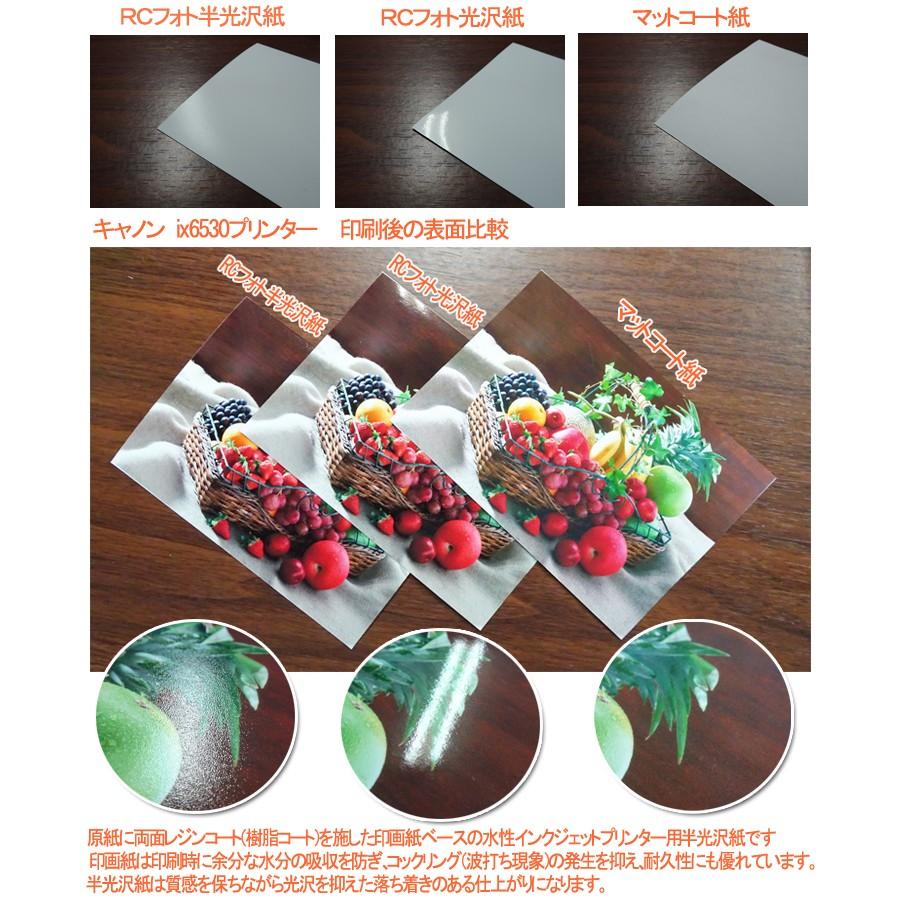 インクジェットロール紙 RCフォト半光沢紙 幅1118mm（B0ノビ）×長さ30m 厚0.19mm 2本入_3