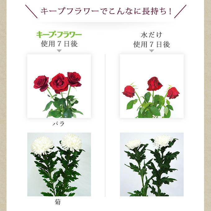 キープ・フラワー 小袋 10ml×50袋 : ミタストア - 通販 - Yahoo