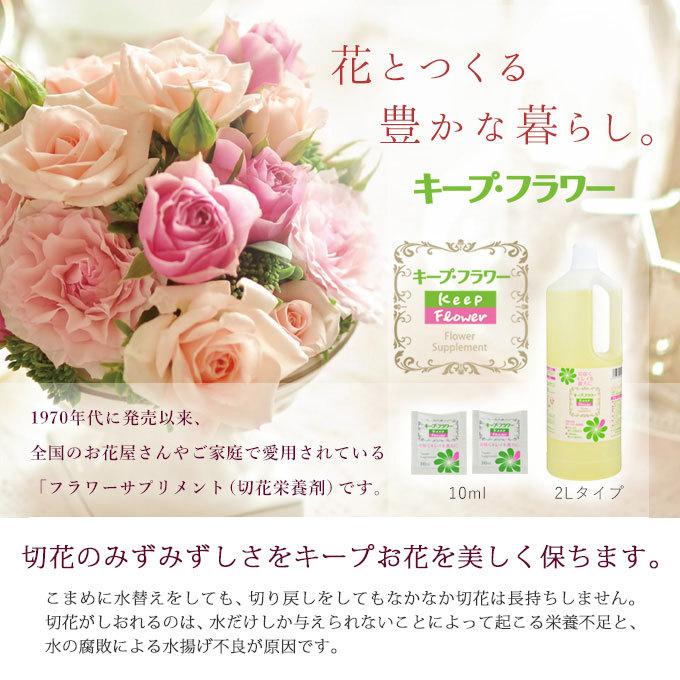 切花栄養剤 切花延命剤 キープ フラワー 2l Kf2l ミタストア 通販 Yahoo ショッピング