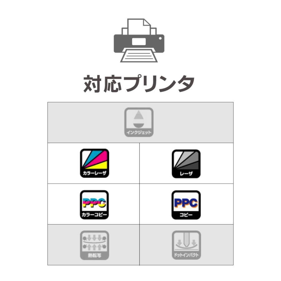 ヒサゴ 屋外用ラベル 強粘着 A4 ノーカット 100シート入 ラベルシール 耐水 耐光 KLP862 2セットの画像