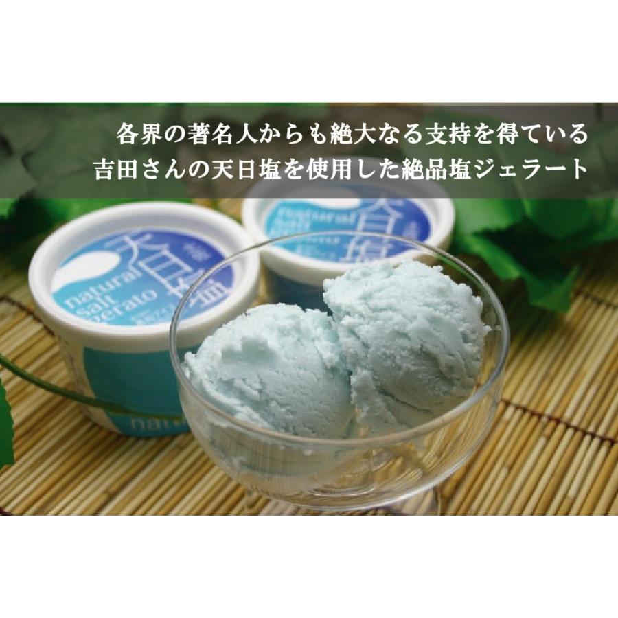 お中元やお歳暮 プレゼントにおすすめ 高知アイス 天日塩ジェラート 16個 Kochice4 ミタストア 通販 Yahoo ショッピング