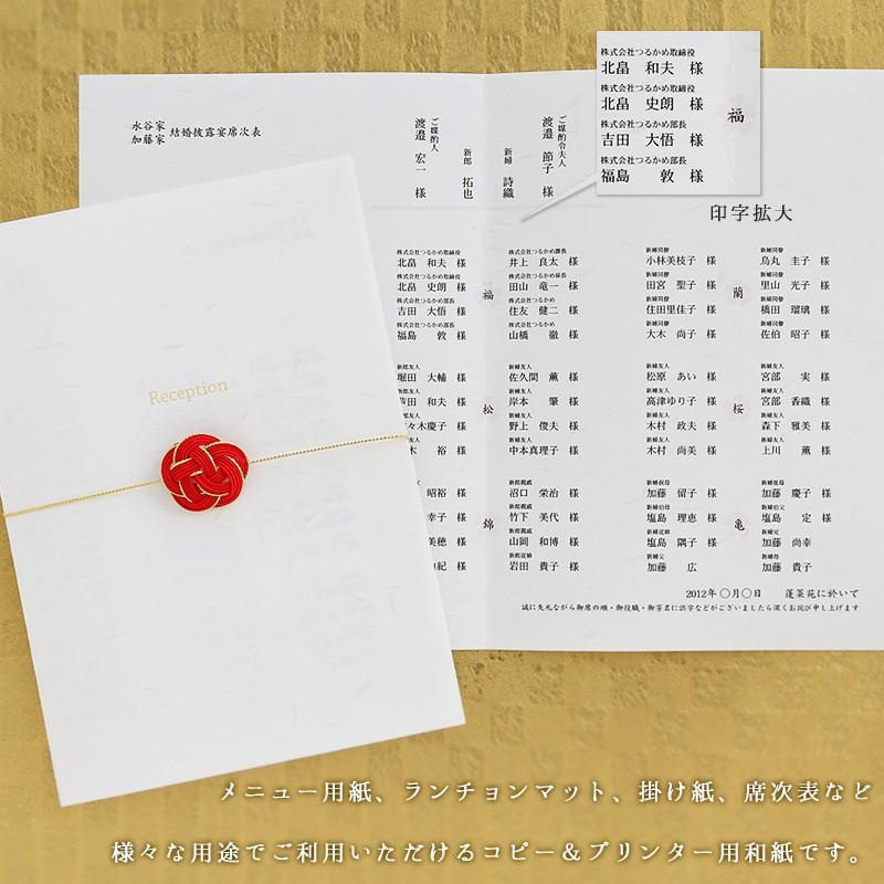 和紙 コピー プリンタ用紙 雲竜紙 A4 100枚入 | 大直 | 01