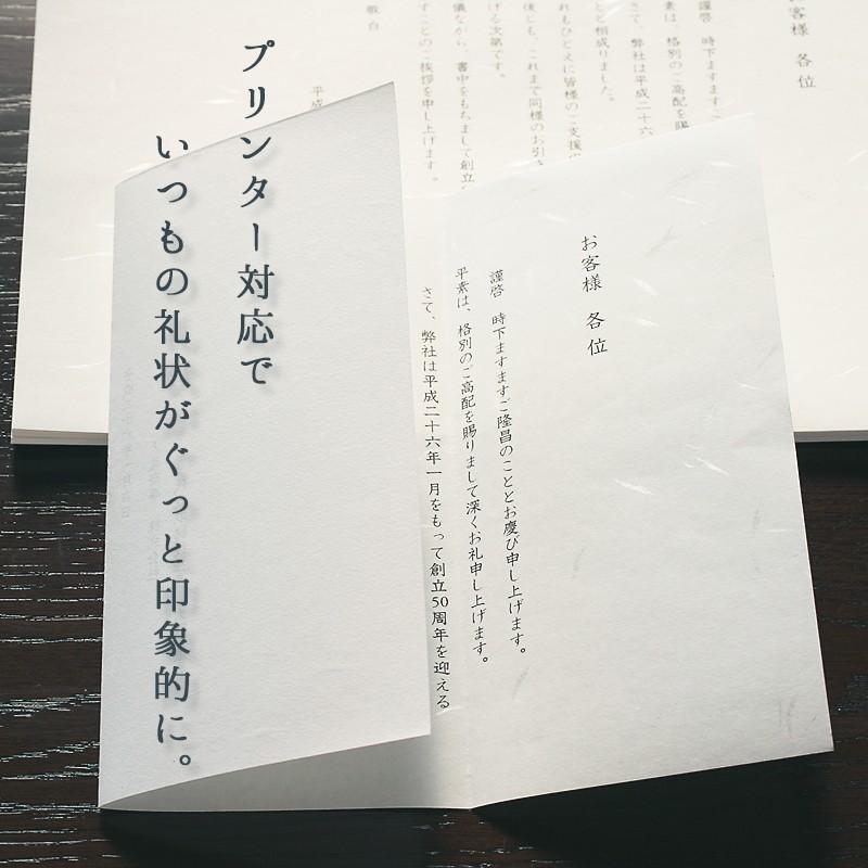 和紙 コピー プリンタ用紙 雲竜紙 A4 100枚入 | 大直 | 02