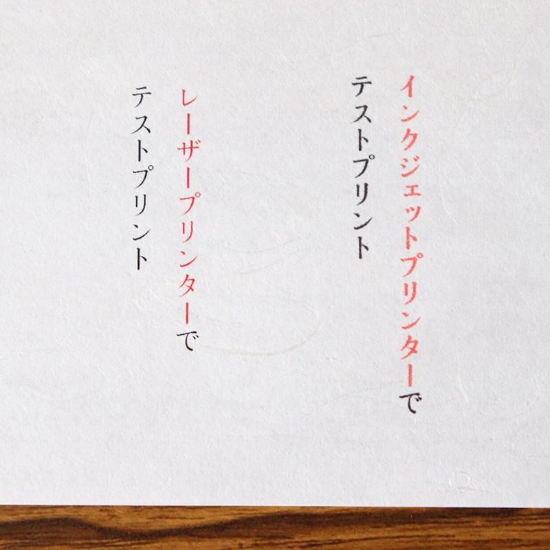 和紙 コピー プリンタ用紙 雲竜紙 A4 100枚入 | 大直 | 04