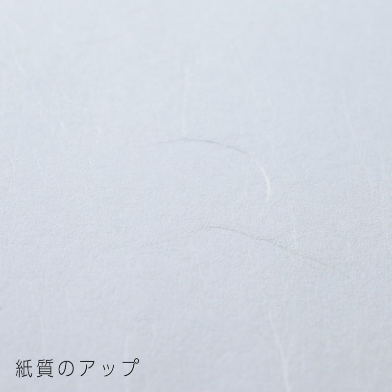 和紙 コピー プリンタ用紙 雲竜紙 A4 100枚入 | 大直 | 05