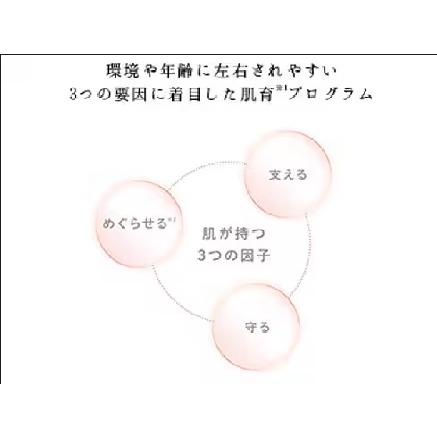 ReFa（リファ） 【東証上場の安心企業】MTG ReFa BEAUTECH RAISE RE