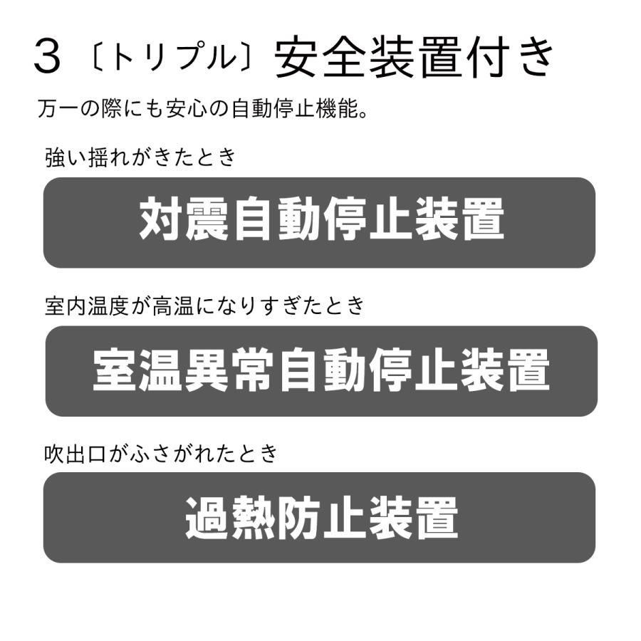 ダイニチ（Dainichi） ダイニチ工業 セラミックファンヒーター P TYPE