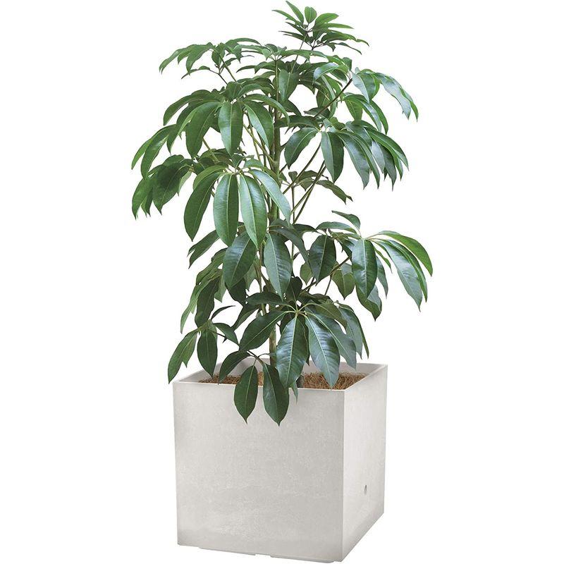 リッチェル 大型プランター 陶器風 ホワイト 45×45×45cm ラヴィーレWS キューブ 45型 底面給水機能付き 709002 リッチェル 709002