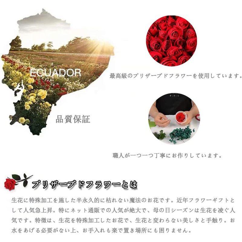 プリザーブドフラワー 枯れない花 プレゼント 花 結婚記念日 妻 バラ ギフト ガラスポット ケース入り ぶりざーどフラワー 薔薇 ドライフ 　 結婚記念日 枯れない花 プレゼント 花 妻 バラ ギフト ガラスポット ケース入り ぶりざーどフラワー 薔薇 ドライフ