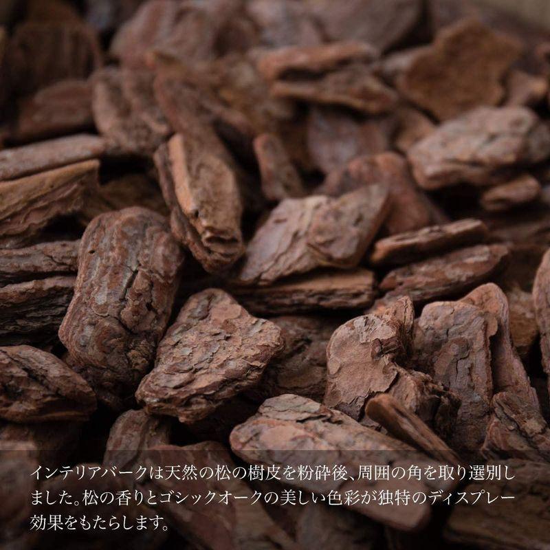 【超美品】 七夕飾り 笹 竹 造花 人工 大型 バンブー(竹)Ｌ 200cm 黒鉢（陶器製） 和モダン 七夕 笹 飾り フェイクグリーン 人工観葉植物 【MYK9402658978】(33618円)