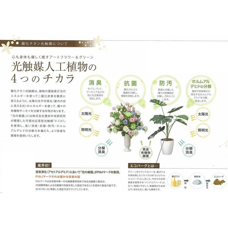 【最終値下げ】 光触媒 人工観葉植物 光の楽園 白樺シングル1.8m 421A300 【KUE7490125210】(26780円)