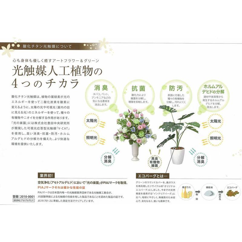光触媒 造花 光の楽園 プレミアム胡蝶蘭7本立W 658A250 造花 光の楽園 プレミアム胡蝶蘭7本立W 658A250