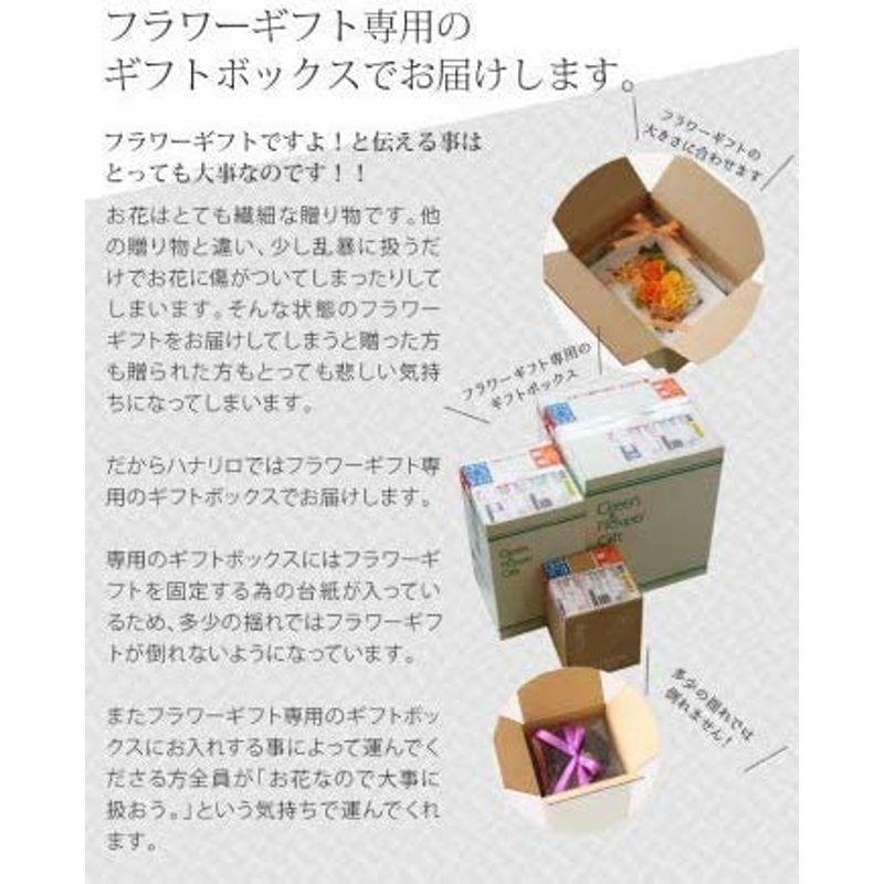 プリザーブドフラワー (クリアケースワイドL 付き/仏花/若菜Ｌ) お供え 花 お悔み用 お彼岸 お盆 アレンジ リボン付き クリアケースワイドL 付き/仏花/若菜Ｌ お供え 花 お悔み用 お彼岸 お盆 アレンジ リボン付き 　