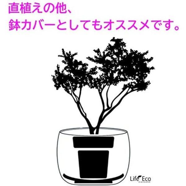 日本未発売 グラスファイバー製 軽量植木鉢 テラニアス バルーン アンティークホワイト 42cm 大型植木鉢