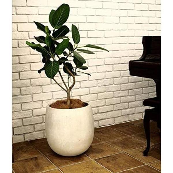 日本未発売 グラスファイバー製 軽量植木鉢 テラニアス バルーン アンティークホワイト 42cm 大型植木鉢