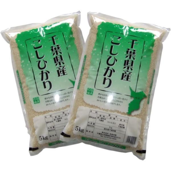 千葉県産 白米 こしひかり 10kg 5kg×2 令和5年産