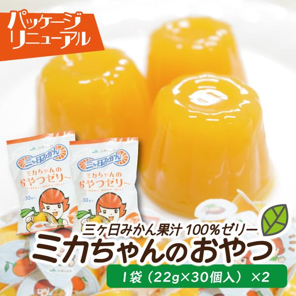 ミカちゃんのおやつゼリー 2袋セット 三ヶ日みかんゼリー 果汁100