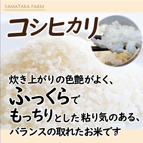 コシヒカリ 米 10kg 静岡県産 早刈り 甘い おいしい ふっくら コシヒカリ 米 10kg 静岡県産 早刈り 甘い おいしい ふっくら