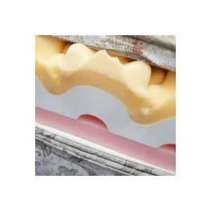 【正規販売店】 体圧分散マットレス ダブルロング ニューキャップロール リセル 140x210cm 厚み12cm 【2146885242】(76760円)