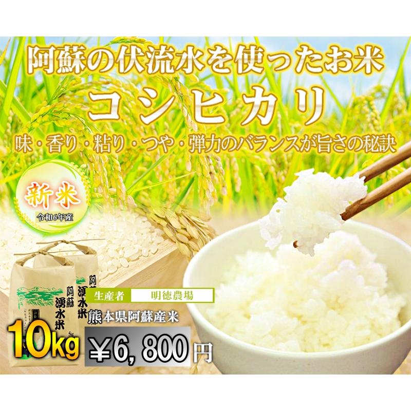 令和六年 熊本県産コシヒカリ10割 精米10キロ