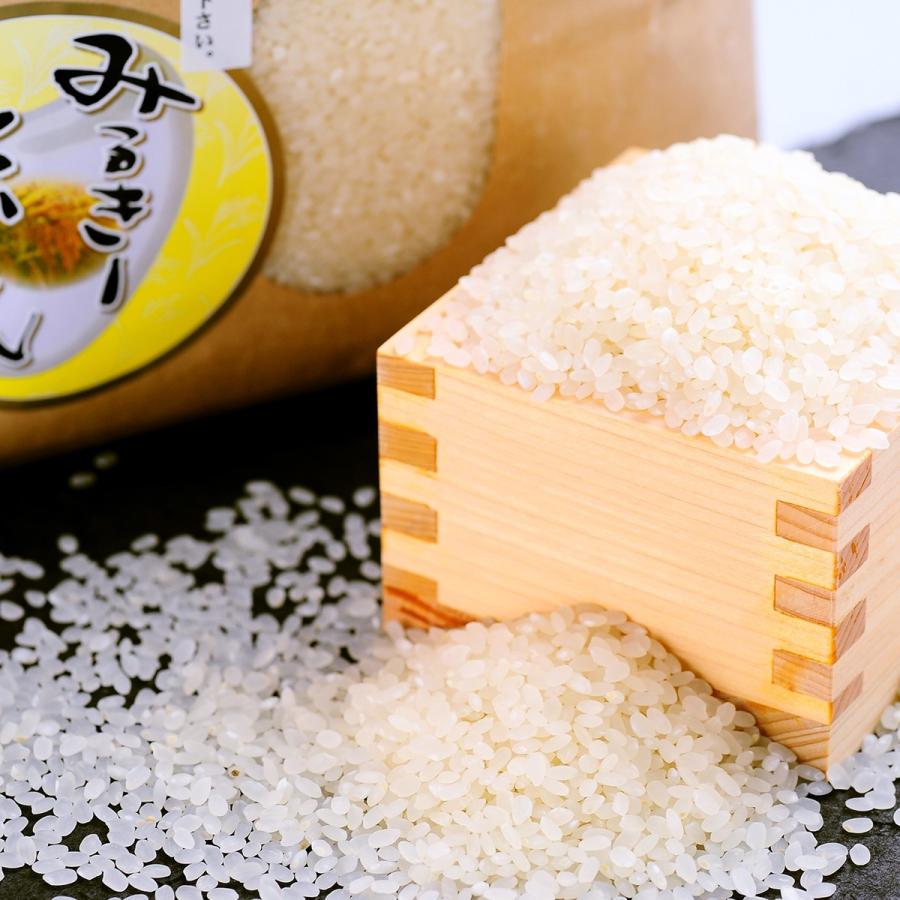 令和5年熊本県産ミルキースター米15kg 令和5年熊本県産ミルキースター米15kg