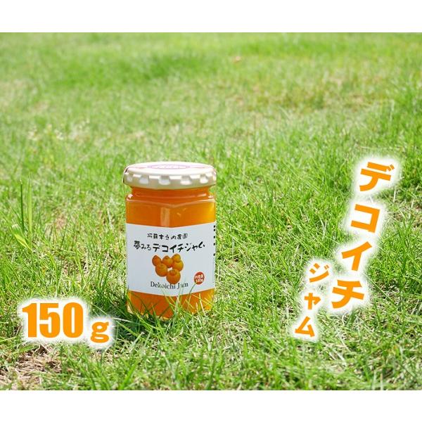 ジャム1kg復活！】ジャム ブルーベリー デコイチ 手作り 熊本 ゴロゴロ