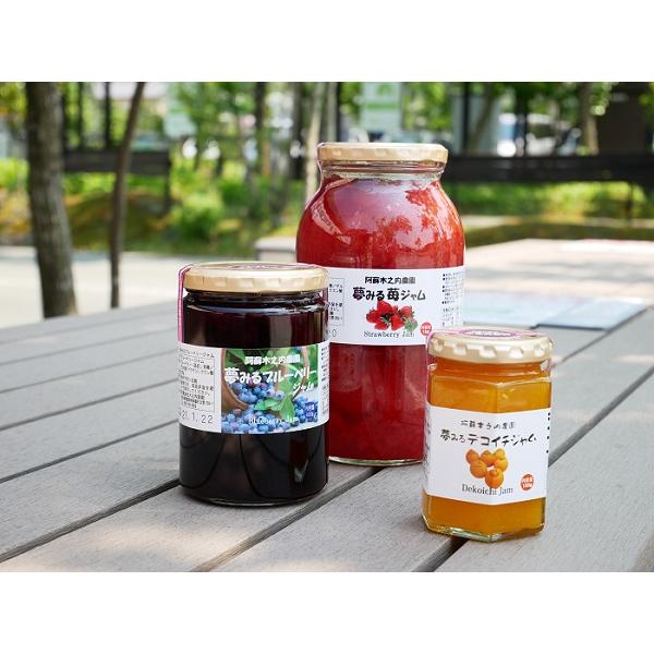 ジャム 手作り ギフト ゴロゴロ果肉入 阿蘇 熊本 道の駅 大人気 3種 木之内農園 常温 道の駅 阿蘇 ネットショップ 通販 Yahoo ショッピング