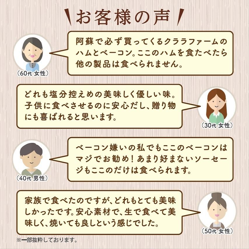 超PayPay祭【直送・他商品同梱不可】 DLG金賞受賞！ ハム ベーコン ソーセージ セット 熊本 阿蘇 ギフト 父の日 お返し お祝い クララファーム K-4 |  | 07
