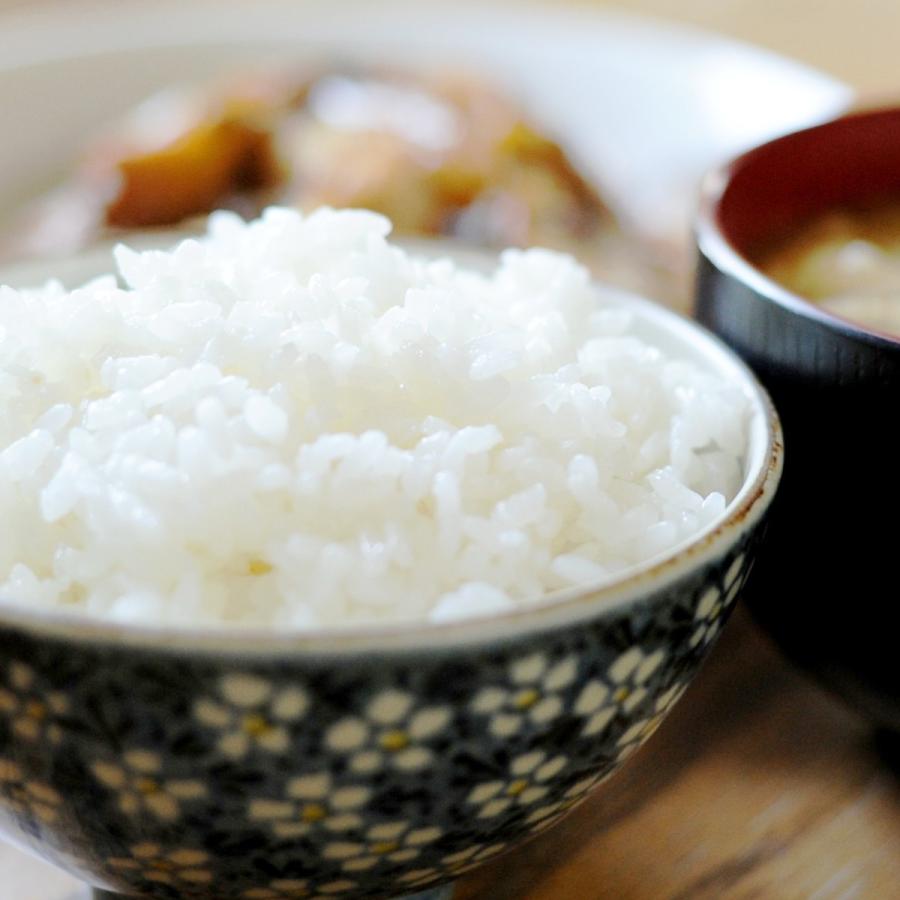 コシヒカリ 令和7年産 おいしい水 米粒 早期 熊本 阿蘇 産 2kg 米 産地