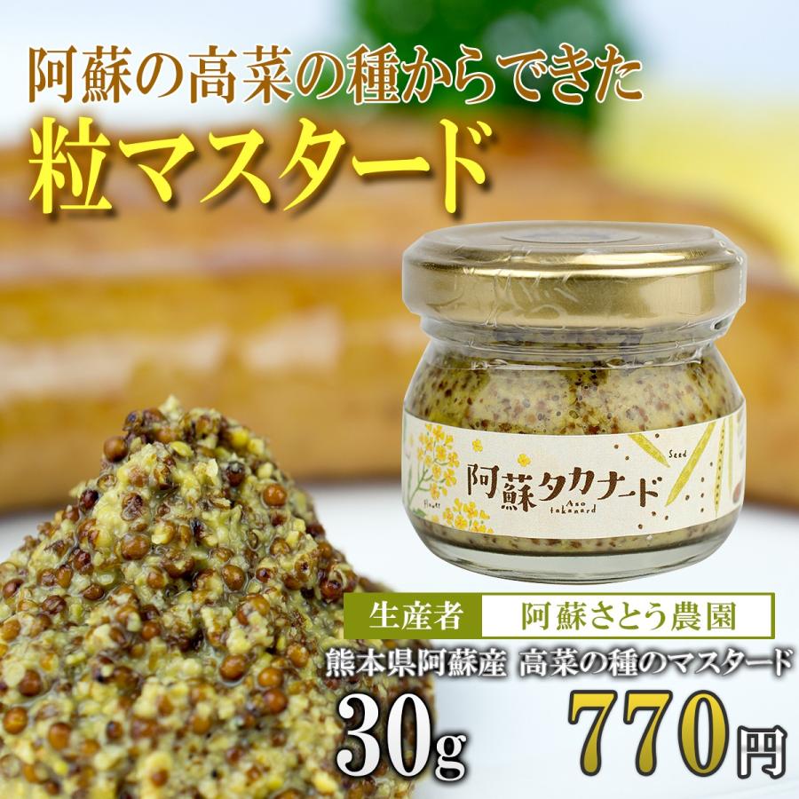 熊本 阿蘇 高菜 純国産 マスタード つぶつぶ 種 海水塩「阿蘇