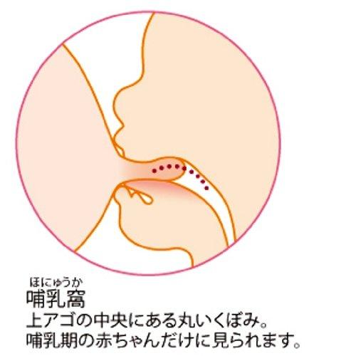 ピジョン 母乳実感 哺乳びん プラスチック製 240mL ディズニー柄｜mitinokugood｜03