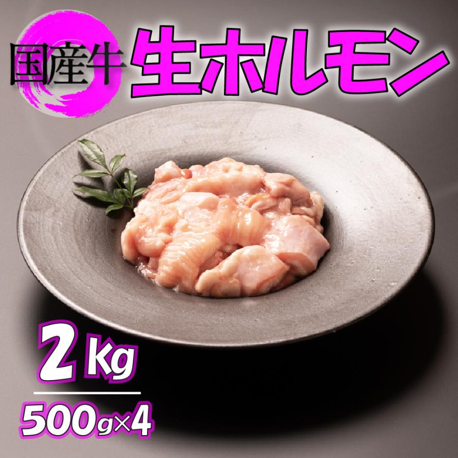 国産ホルモン 国産牛 生ホルモン 2kg 牛ホルモン 1kg×2 焼肉 もつ鍋 モツ鍋 牛モツ ミックスホルモン 冷凍 送料無料 国産牛ミックスホルモン2kg｜mitinokum6262｜02