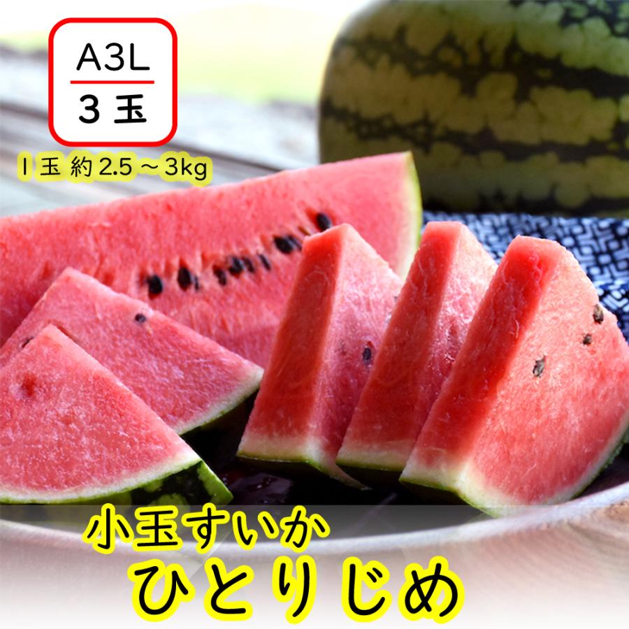 すいか 小玉 小玉すいか スイカ 西瓜 A3L 3玉 令和6年産 JA 果物 フルーツ 送料無料 ひとりじめ 小玉すいか3L 3玉｜mitinokum6262