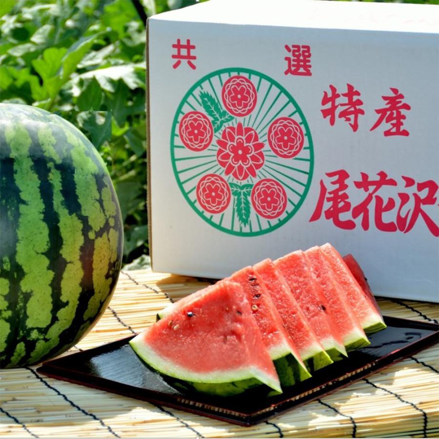 すいか すいか 大玉 尾花沢すいか スイカ 西瓜 A3L 2玉 令和8年産 JA 果物