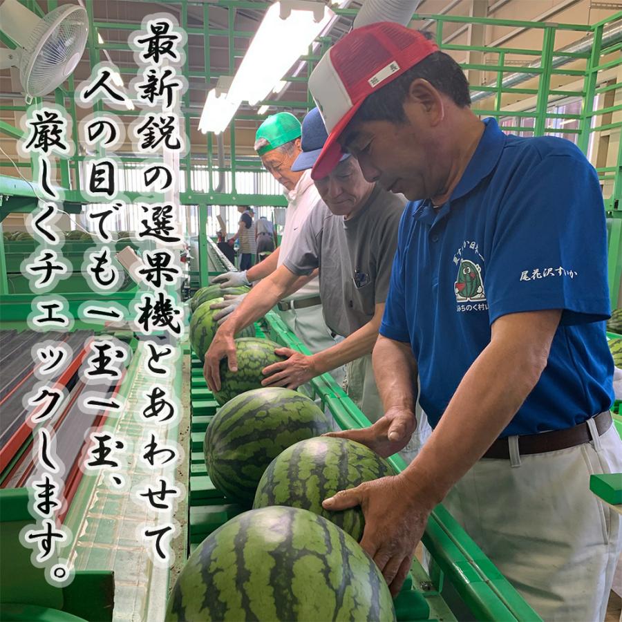 すいか 大玉 尾花沢すいか スイカ 西瓜 A4L 2玉 令和8年産 JA 果物