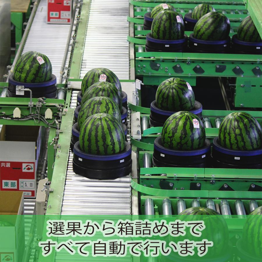すいか 大玉 尾花沢すいか スイカ 西瓜 A4L 2玉 令和8年産 JA 果物