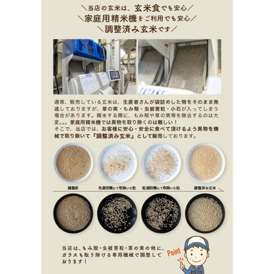 ひとめぼれ 30kg：￥23400 → ￥20700 【厳選米！玄米】令和7年 宮城県